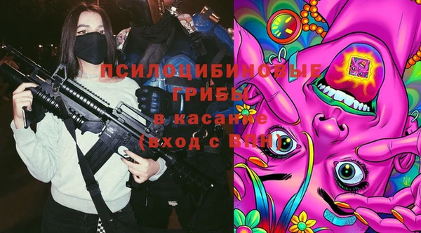 крисы Армянск
