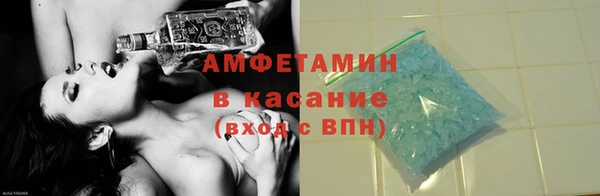 прущие грибы Аркадак