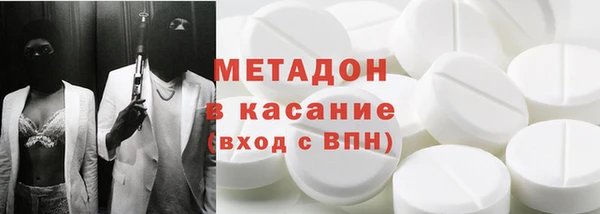 прущие грибы Аркадак