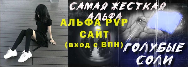 прущие грибы Аркадак