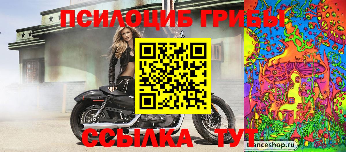 Кириши  Псилоцибиновые грибы мухоморы  как найти   Вход с VPN 